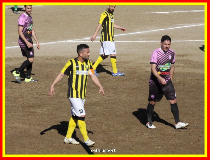 190310 Cephal_Torrenov 076_tn.jpg
